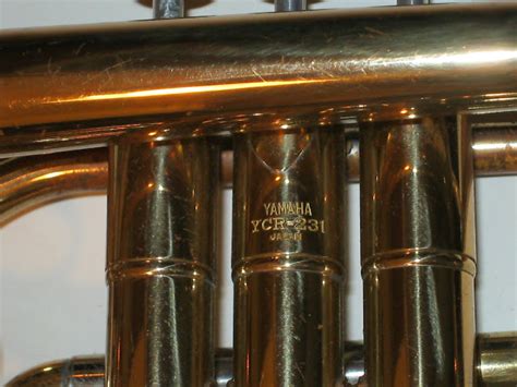 Sample Modeling The Trumpet Serial Labellinoa