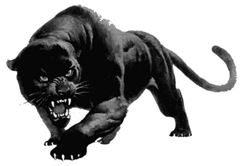 Black Panther Animal Png Free Logo Image