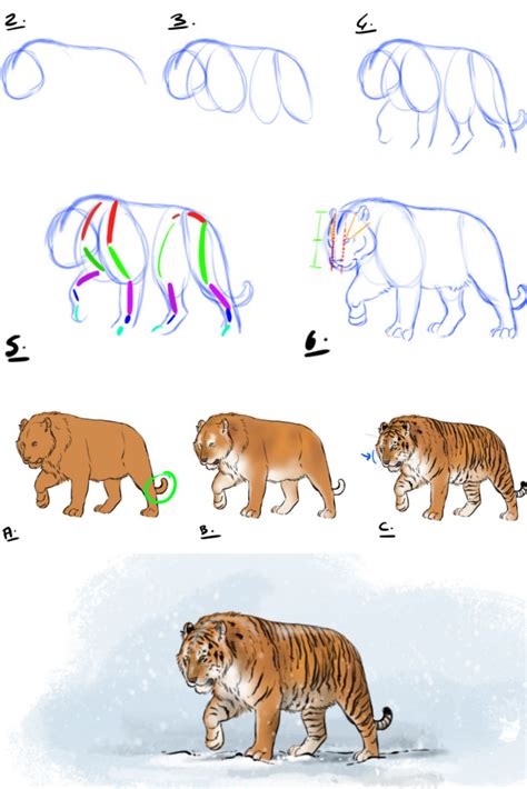 How To Draw A Tiger Head Detail Video Step By Step Pictures Artofit