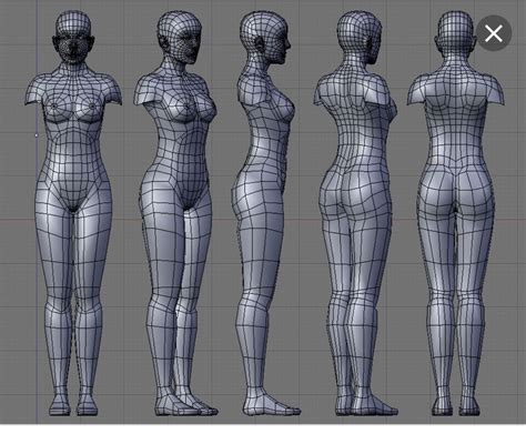The BLUEPRINT Character Modeling Anatomy Models Blender Models