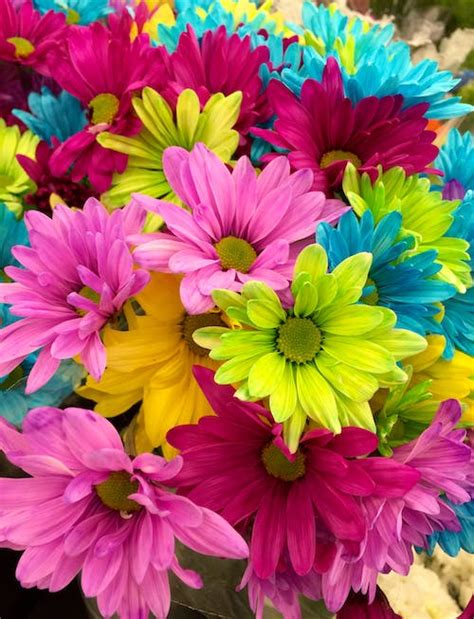 80000 Best Bunch Of Flowers Photos · 100 Free Download · Pexels