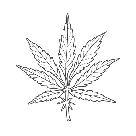 How To Draw A Weed Leaf