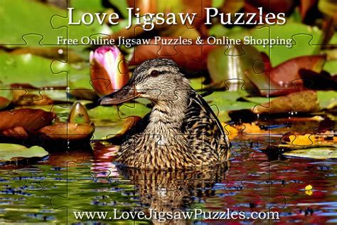 Earn 50% more points towards aarp rewards. Daily Jigsaw - Free Jigsaw Puzzles