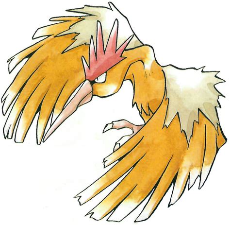022 Fearow Used Whirlwind And Drill Peck Game Art Hq