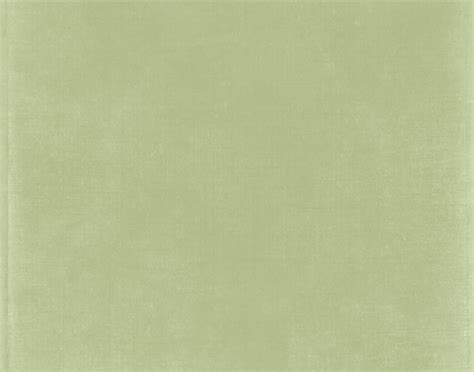 Sage Green Blank Wallpaper Carrotapp