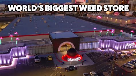 The World's BIGGEST WEED STORE - YouTube