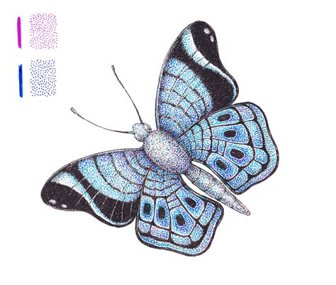 / allow yourself to fly but stay grounded. How to Draw a Butterfly with Pen and Ink and Colorful ...