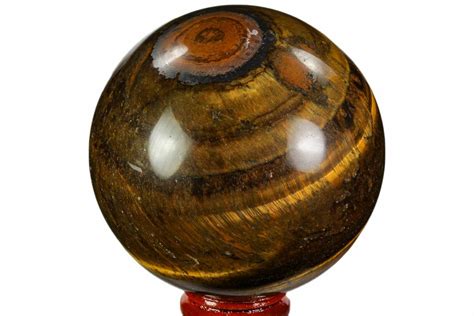 3 Polished Tiger S Eye Sphere 110004 For Sale FossilEra Com