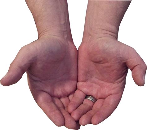 Cupped Hands Transparent Png Png Mart