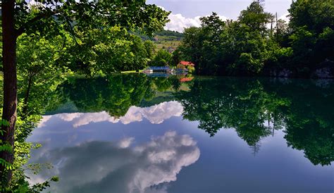 Фото Босния и Герцеговина Pliva Природа Озеро дерево