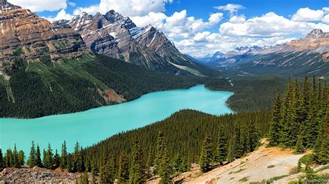 National Park Canada Peyto Lake Rocky Mountains Wallpapers Desktop
