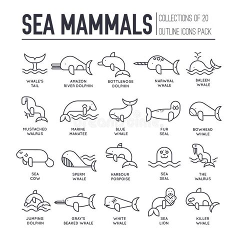 Sea Mammals Animal Collection Icons Set Vector Fish Illustration In