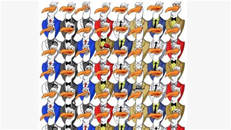 Optical Illusion Can You Find The Penguin Among Ostriches In 14 Seconds