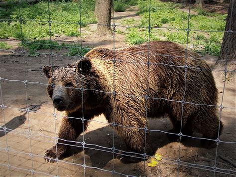 Shalom Wildlife Sanctuary West Bend Wi