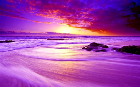 Purple Beach Sunset Hd Wallpaper Background Image 1920x1200 Id