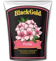 You can have problems when growing a christmas cactus such as wilting, leaves changing color, leaves falling off and more. How to Make a Succulent Frame | Planet Natural