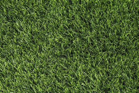 Artificial Green Grass Texture High Quality Nature Stock Photos