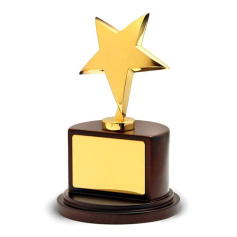 Gold Plated Star Award With Custom Engraving Awards Trophies Supplier