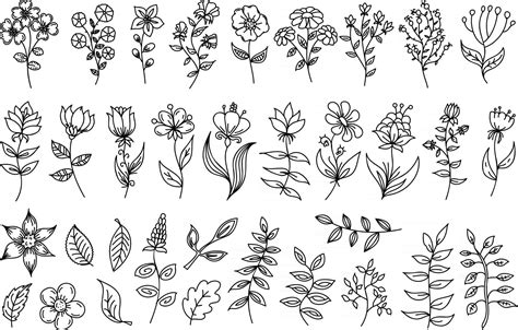 Collection Of Black And White Floral Design Elements Stock Vector My
