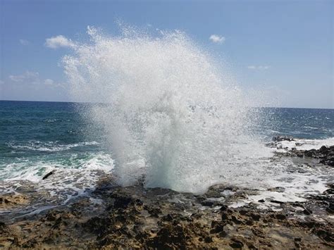 Blow Holes Grand Cayman Aggiornato Tutto Quello Che C Da Sapere Tripadvisor