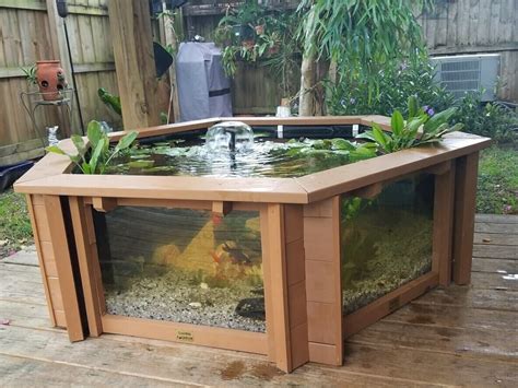 Lily Clear View Garden Aquarium Brown Raised Fish Pond With Large