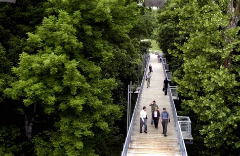 free picture people walking bridge