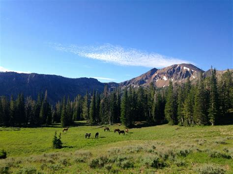A True Hidden Gem, The Incredibly Remote Jarbidge Wilderness Is Perfect