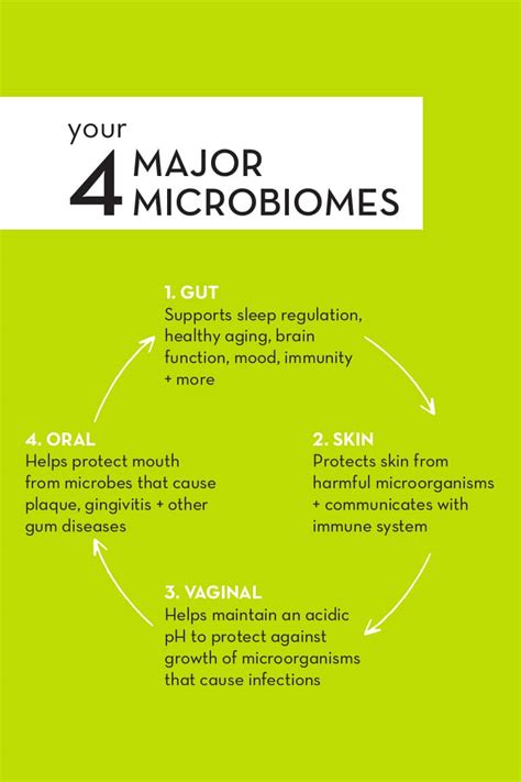 Healthy Microbiomes 12 Tips For Balanced Bacteria In Your Gut Skin
