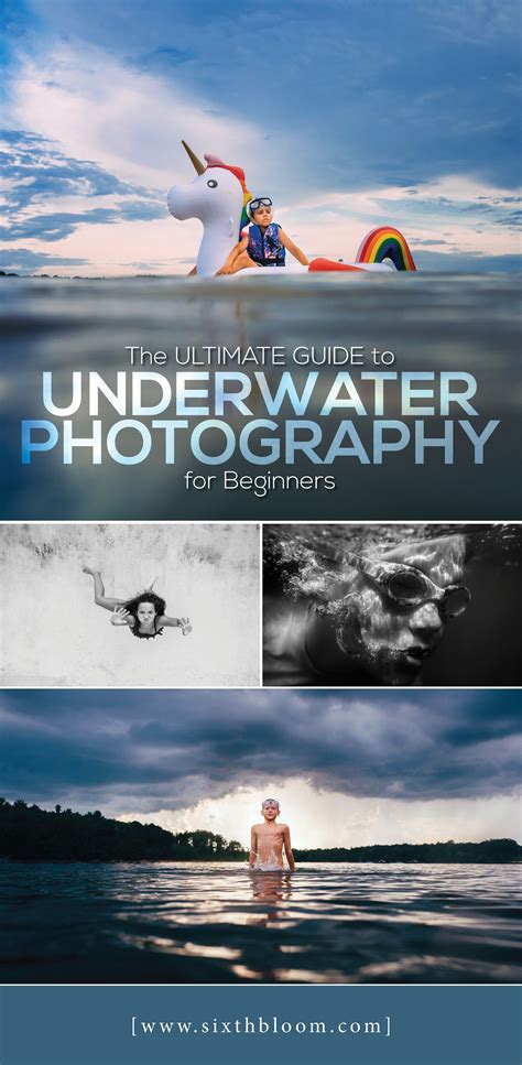 Underwater Photography Tips For Beginners Underwater Photography Tips
