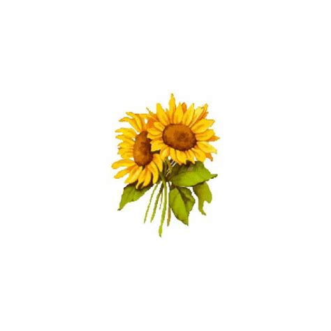 Download High Quality Sunflower Clipart Aesthetic