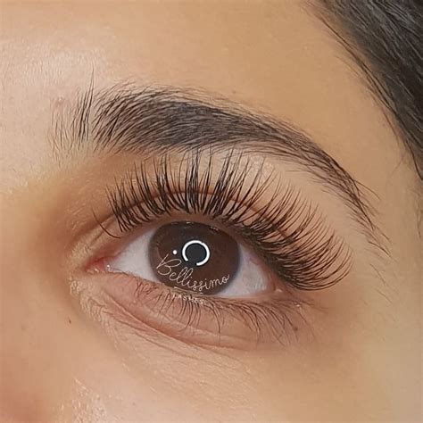 bellissimo lashes lash extensions brisbane eyelash extensions price