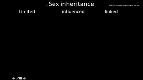 Sex Inheritance Patternsex Limited Traitssex Influencedtraitssex
