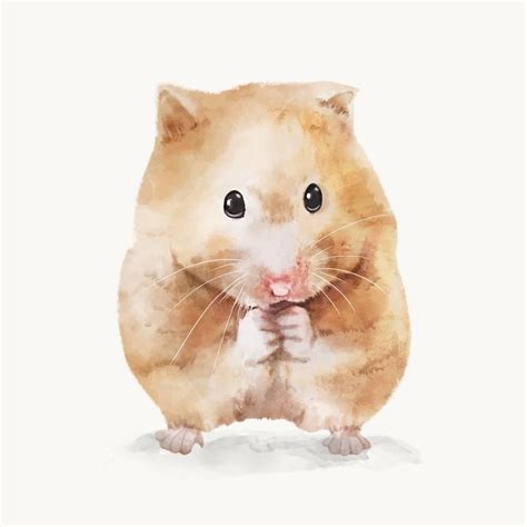 Hamster Watercolor Illustration Animal Design Vector Premium Image