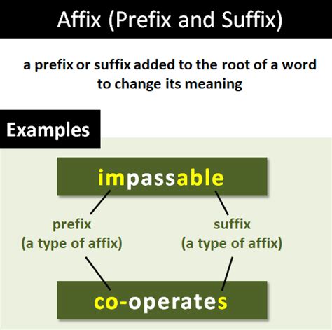 Affix Explanation And Examples