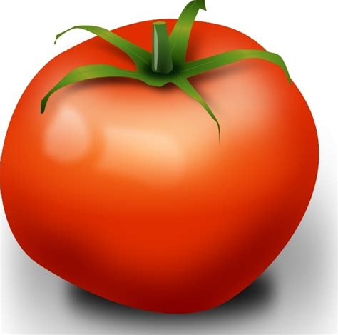 Tomato Clip Art Free Vector In Open Office Drawing Svg Svg Vector