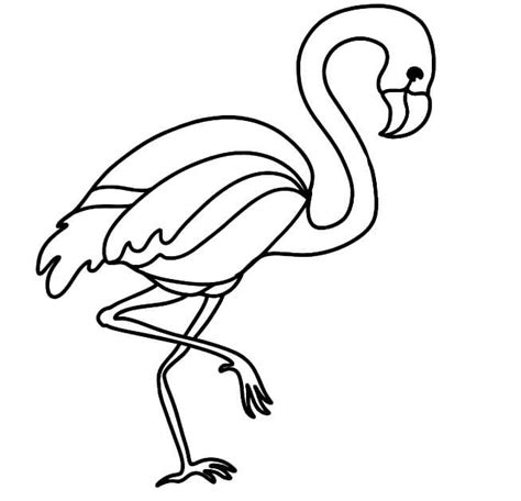 Casal Flamingos Para Colorir Imprimir E Desenhar Colorirme