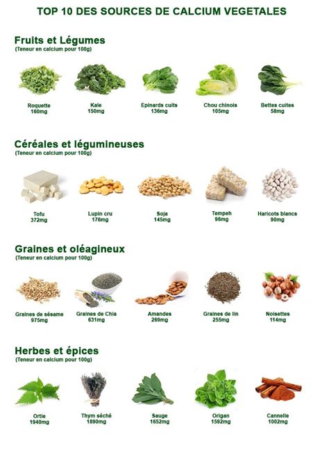 Sources Calcium Vegetales Calcium V G Tal Aliments Riches En Calcium Source De Calcium