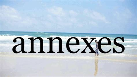 How To Pronounce Annexes🌈🌈🌈🌈🌈🌈pronunciation Of Annexes Youtube