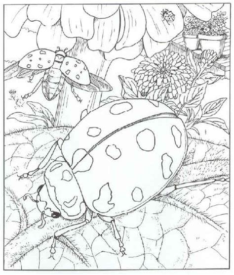 Miraculous ladybug coloring pages youloveit com for. free coloring sheets of ladybugs
