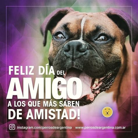 May 31, 2021 · champions league 2020; Perros de Argentina en Instagram: "Feliz día del Amigo! # ...