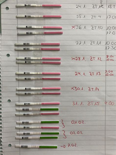 Wenn der ovulationstest positiv ist, wann genau hat man denn dann seinen eisprung? Ovu am ES+8 fett positiv. Erfahrungen? | Forum ...