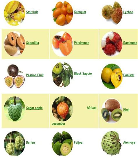 9 exotic fruits that look like they're from another planet. These exotic fruits can have major health and healing ...