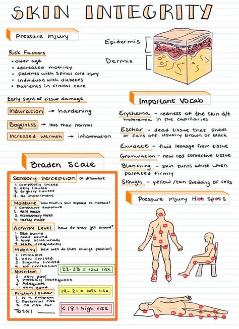Skin Integrity And Wound Care Etsy Nursing Study Guide Medical
