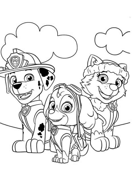 sky paw patrol coloring pages coloring home