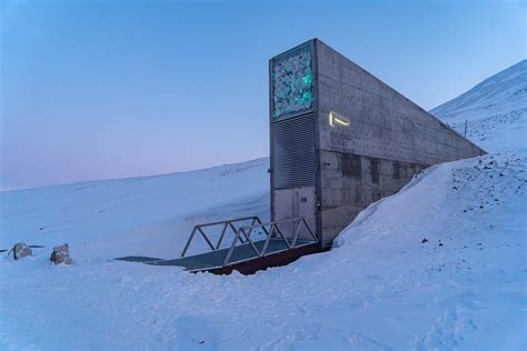 Seeds From Strawberries Safeguarded For The Future At Svalbard Global