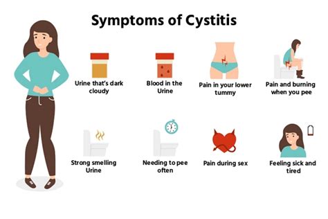 Understanding Cystitis Symptoms Causes And Treatment Ask The Nurse Expert