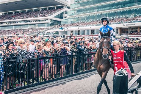 Travel To Australia For The Spring Racing Carnival