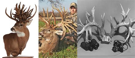 The Biggest Nontypical Whitetails Of All Time Outdoor Life