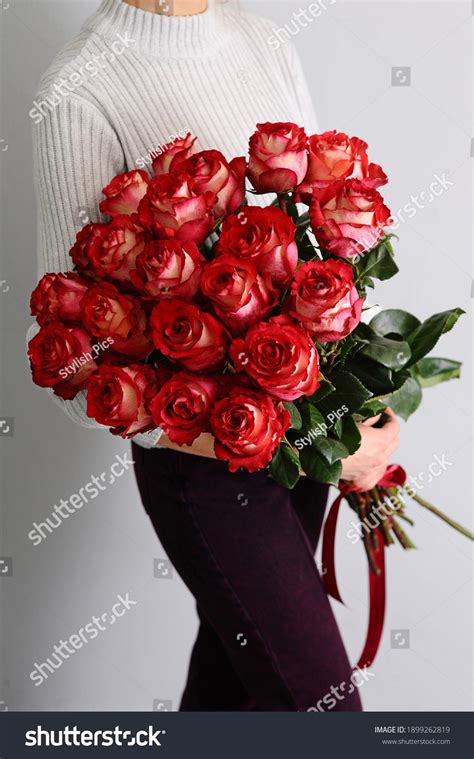 48581 Woman Holding Red Rose Images Stock Photos And Vectors Shutterstock