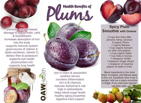 Fantastic Health Benefits Of Plums Oawhealth